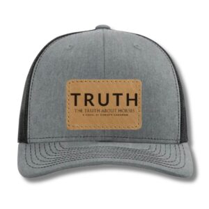 TRUTH Trucker Hat - Grey